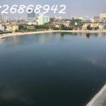  50m2 - 1