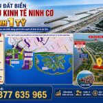  95m2 - 4