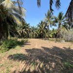  45000m2 - 4