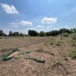  45000m2 - 5