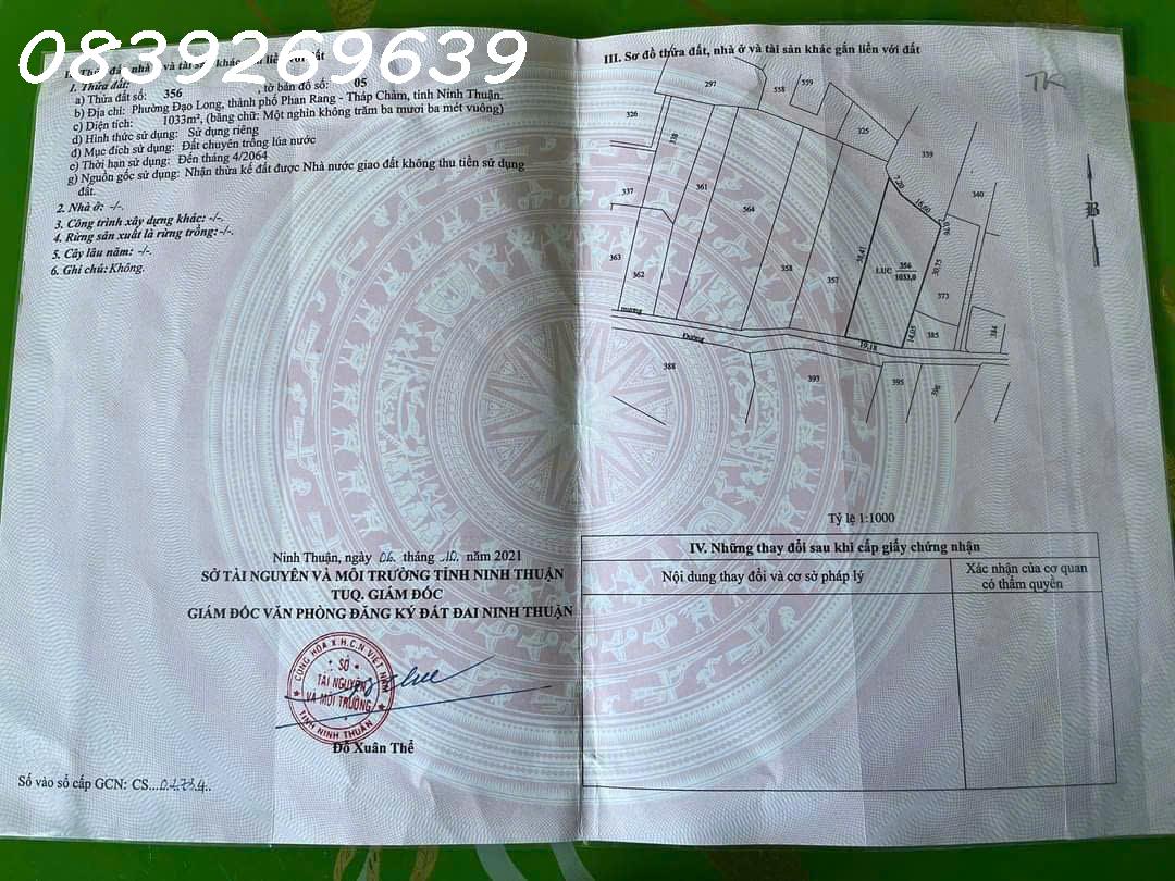 Bán đất NN Đạo Long, gần ngã 3 An Long, cách đường Thống Nhất 300m