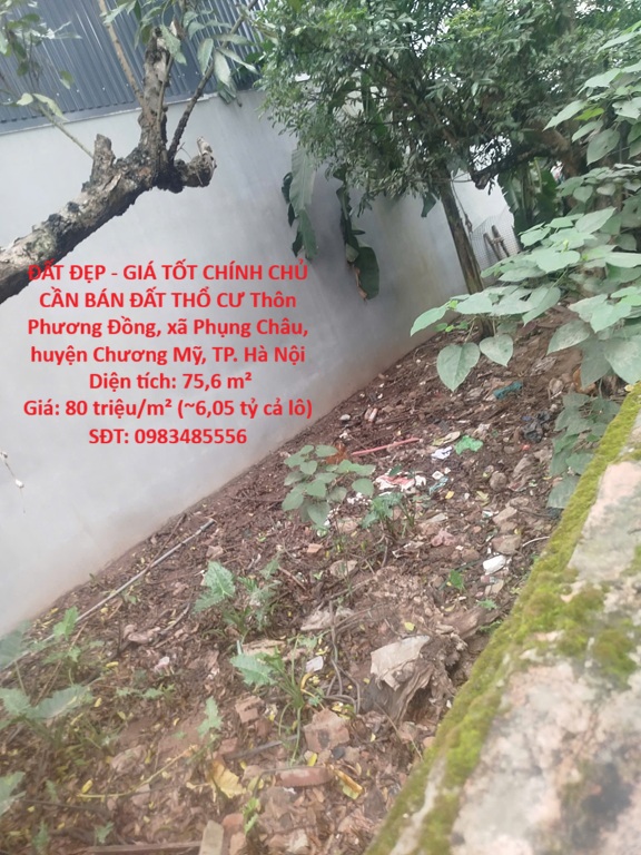 ĐẤT ĐẸP - GIÁ TỐT CHÍNH CHỦ CẦN BÁN ĐẤT THỔ CƯ -xã PHỤNG CHÂU, CHƯƠNG MỸ, HÀ NỘI