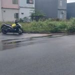  100m2 - 1