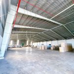  5000m2 - 3