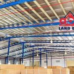  11000m2 - 5