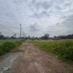  5000m2 - 3