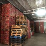  800m2 - 1