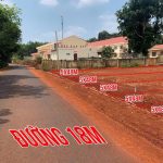  250m2 - 5