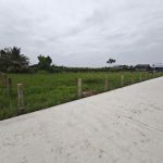  402m2 - 5
