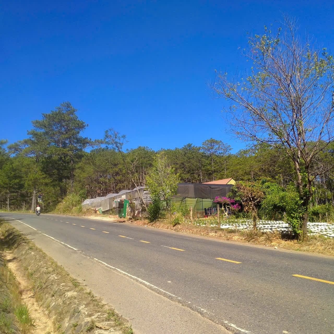 HOT HOT – CHÍNH CHỦ CẦN BÁN ĐẤT VIEW ĐỒI THÔNG, SUỐI TỰ NHIÊN – GIÁ TỐT – Tại Lạc Dương, Lâm Đồng