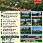 40000m2 - 6