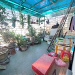  50m2 - 6
