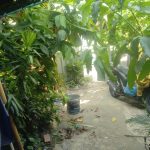  43m2 - 5