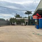  5000m2 - 1