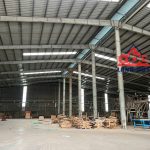  5000m2 - 3