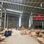  5000m2 - 4