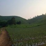  300000m2 - 5