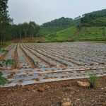  300000m2 - 3