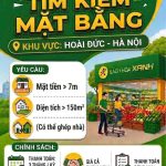  150m2