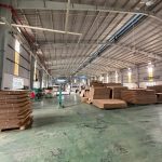 22000m2 - 1