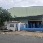  5000m2 - 1