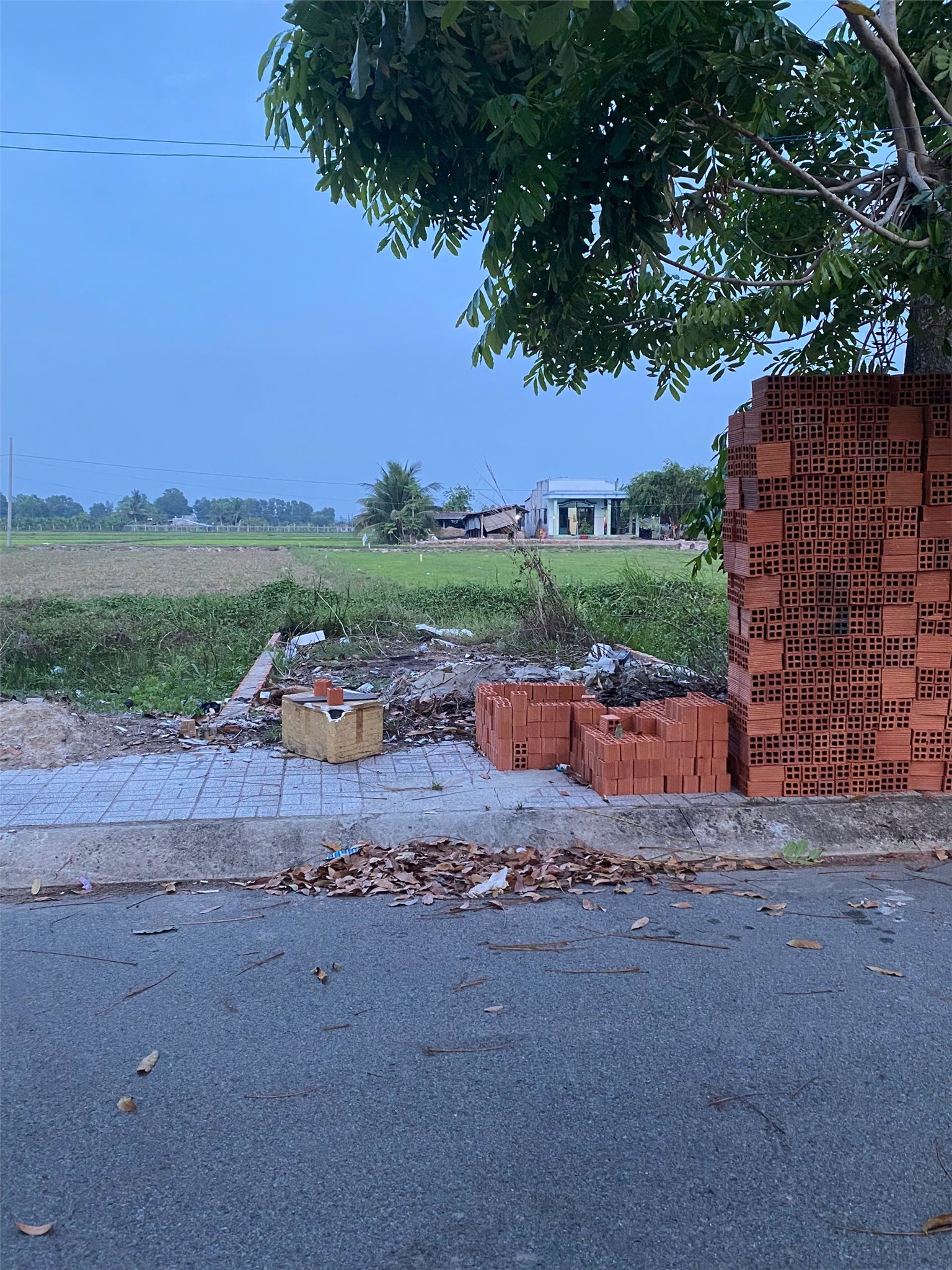 ĐẦU TƯ LÀ SINH LỜI - Đất Cát Tường Phú Sinh Chính Chủ Bán Đất Xã Mỹ Hạnh Bắc, Đức Hòa, Long An