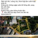  700m2