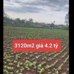  3120m2 - 5