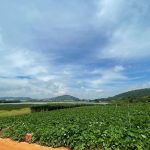  10330m2 - 6