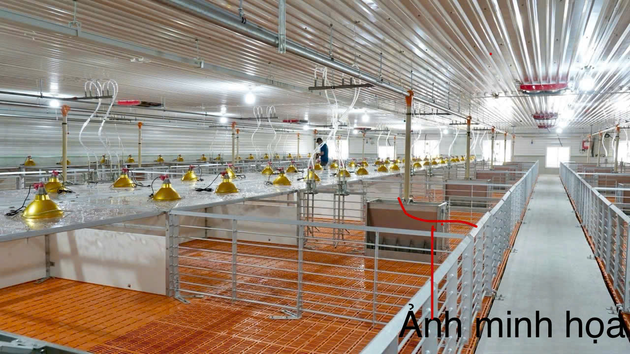 CHÍNH CHỦ CẦN BÁN TRANG TRẠI NUÔI HEO DIỆN TÍCH LỚN - TẠI THẠNH TRỊ - KIẾN TƯỜNG - LONG AN