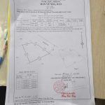  81m2 - 4