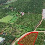  580m2 - 1