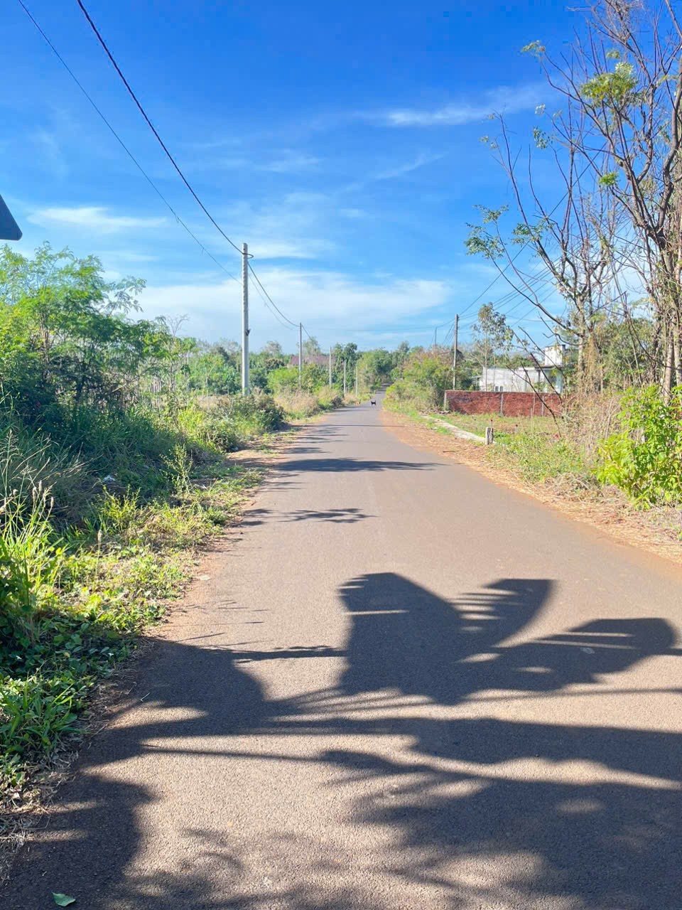 ĐẦU TƯ SINH LỜI – CHÍNH CHỦ CẦN BÁN LÔ ĐẤT Tại THÔN PHÚ SƠN, XÃ ĐÁ BẠC, HUYỆN CHÂU ĐỨC, BÀ RỊA – VŨNG TÀU
