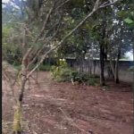  825m2 - 5