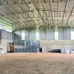  1100m2 - 6