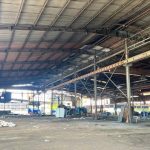  5000m2 - 3