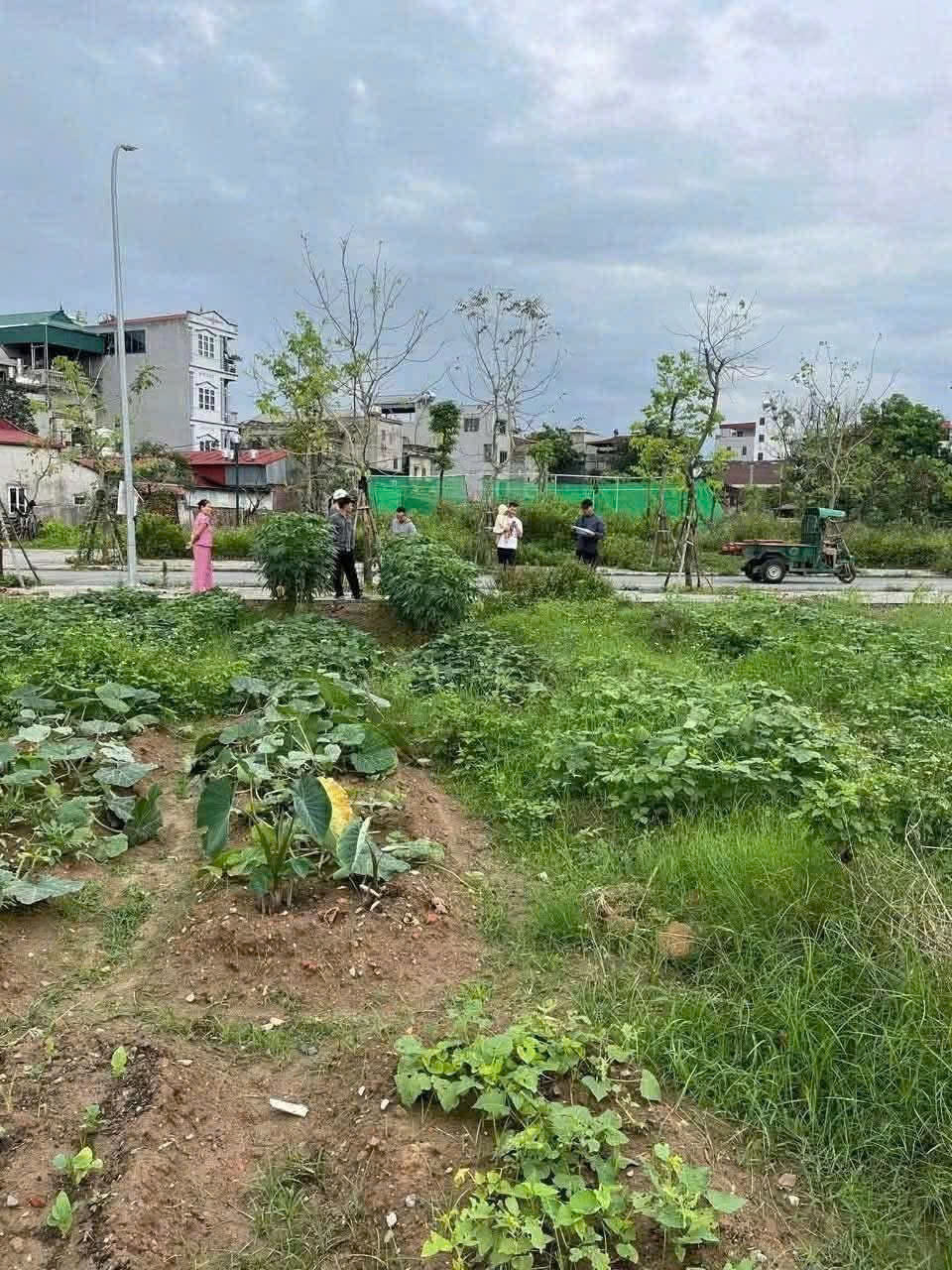 Rẻ nhất khu tái định cư Thư Lâm, Đông Anh - Vị trí đẹp - Gia đình cần vốn nên bán gấp