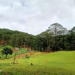  30000m2 - 1