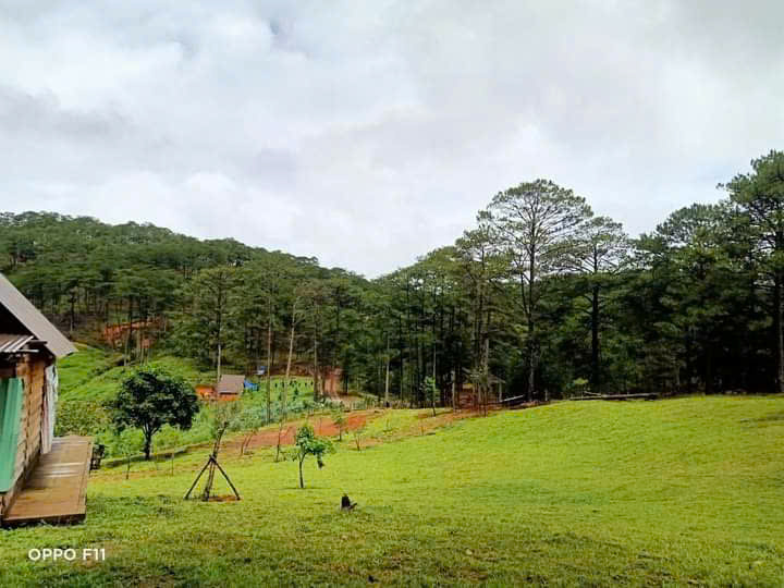 KẸT TIỀN BÁN NHANH LÔ ĐẤT XÃ ĐA NHIM _ LẠC DƯƠNG - ĐÀ LẠT -LÂM ĐỒNG.