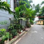  50m2 - 5