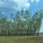  4500m2 - 4