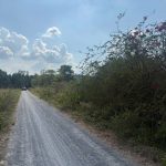 4500m2 - 6