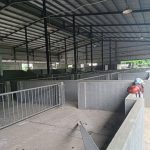  28000m2 - 5
