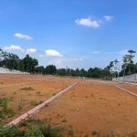  100m2 - 3
