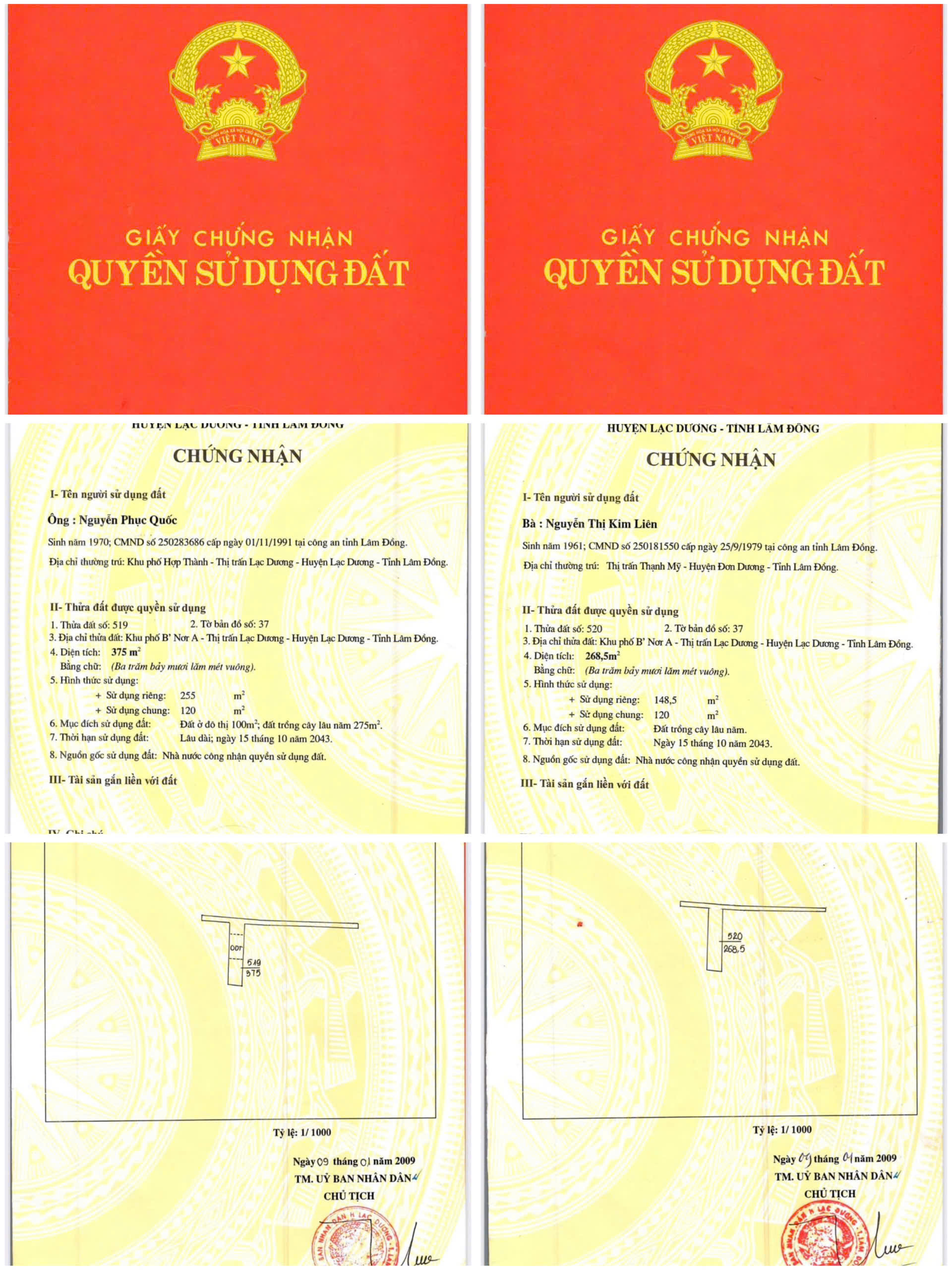 CHÍNH CHỦ CẦN BÁN GẤP LÔ ĐẤT BIỆT THỰ ĐƯỜNG LẠC LONG QUÂN TRUNG TÂM PHƯỜNG LANGBIANG