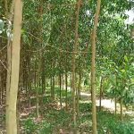  400m2 - 4