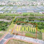  4000m2 - 6