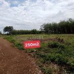  250m2 - 5
