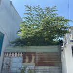  100m2 - 4