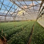  4260m2 - 6